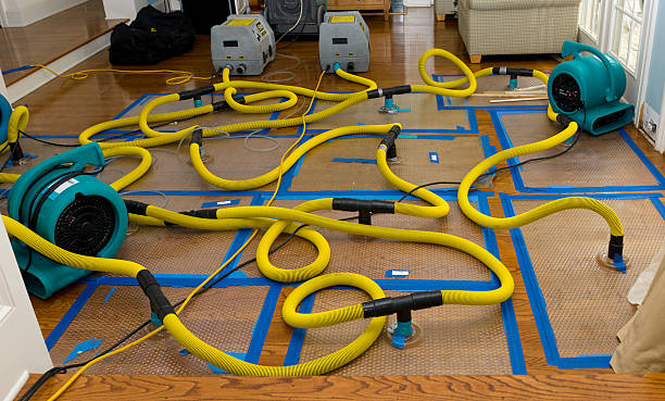 Professional Flood Damage Restoration technician working in Blackville, SC